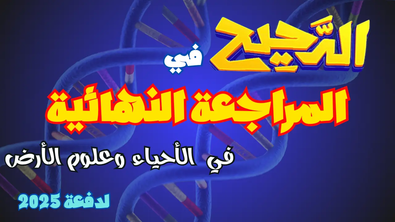 المراجعة النهائية